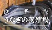 浜名湖うなぎ養場
