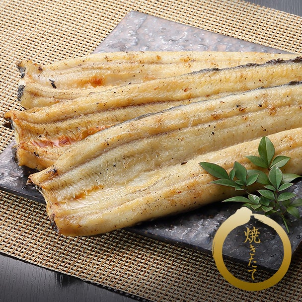 焼きたて白焼セット（たれ付き） 大・2本 | うなぎの井口