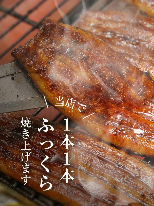 【早割】蒲焼セット　中・3本