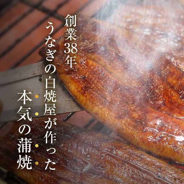 敬老の日 浜名湖産蒲焼セット「井口の誉」