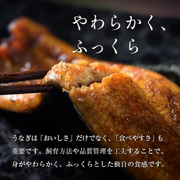 敬老の日 浜名湖産蒲焼セット「井口の誉」